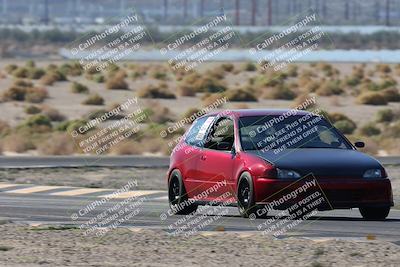 media/Oct-24-2025-Doghouse Garage (Fri) [[783d2ff07a]]/1-Advanced/Session 2 Turn 5 Tree of Life/